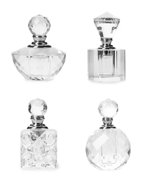 Set Different Bottles Luxury Perfume White Background — Stock Photo, Image