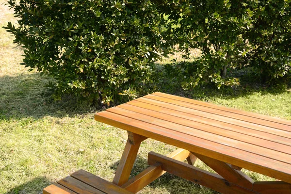 Empty Wooden Picnic Table Bench Park Sunny Day — Fotografia de Stock