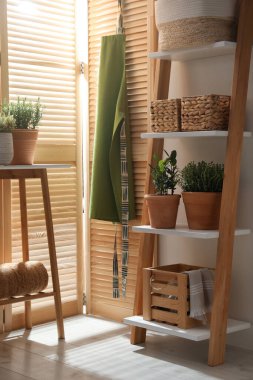 Odada farklı saksı bitkileri var. İç tasarım