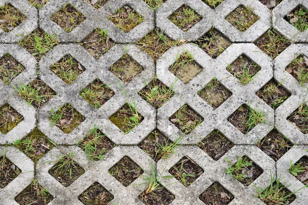 タイルを通して成長する新鮮な緑の草屋外 トップビュー — ストック写真