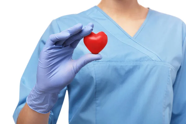Doctor Holding Red Heart White Background Closeup Cardiology Concept — Stock Photo, Image