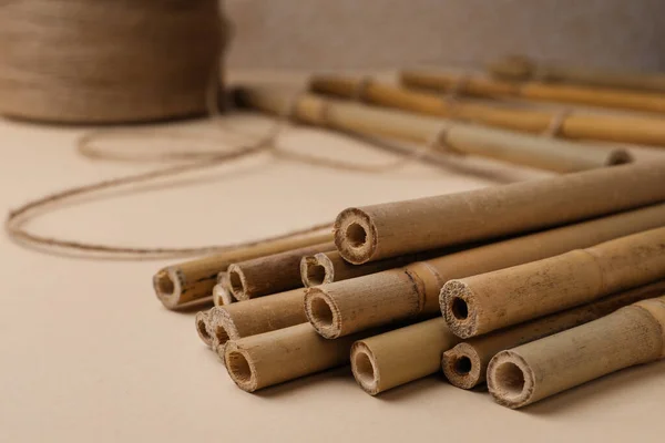 Dry Bamboo Sticks Twine Beige Background Closeup Space Text — Photo