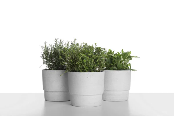 Pot Dengan Thyme Mint Dan Rosemary Pada Latar Belakang Putih — Stok Foto