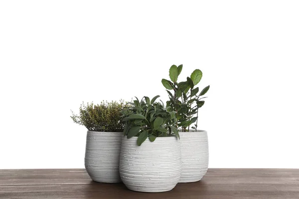 Pots Thyme Bay Sage Wooden Table White Background — Zdjęcie stockowe