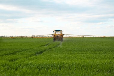 Tractor spraying pesticide in field on spring day. Agricultural industry