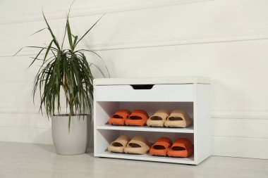 Farklı çift lastik terlikleri olan şık bir depolama dolabı ve koridordaki beyaz duvarın yanında güzel bir bitkisi.