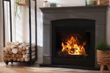 Electric fireplace, rack with wood and beautiful decor elements indoors. Interior design