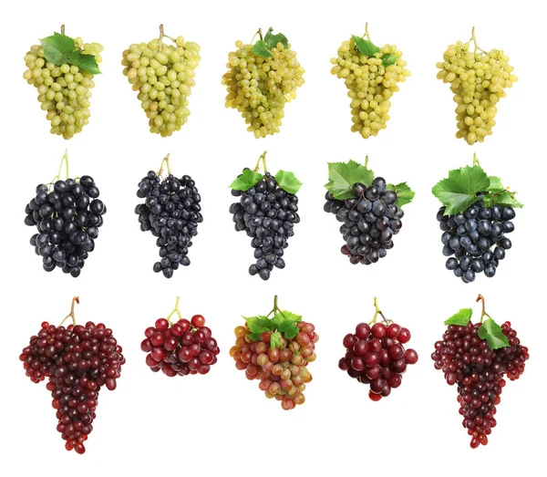 Conjunto Com Diferentes Uvas Maduras Frescas Sobre Fundo Branco — Fotografia de Stock