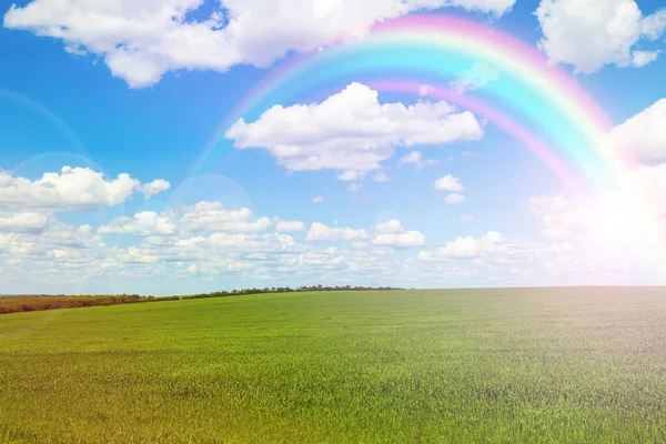 Picturesque View Green Meadow Beautiful Rainbow Blue Sky Sunny Day — Stock Photo, Image