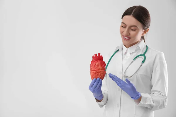 Doctor Stethoscope Model Heart White Background Space Text Cardiology Concept — Fotografia de Stock