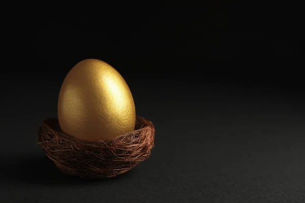 Shiny Golden Egg Nest Black Background Space Text — Zdjęcie stockowe