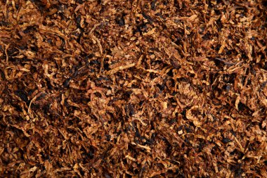 Pile of dry tobacco as background, closeup
