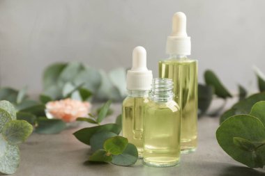 Okaliptüs şişeleri gri masa üzerinde gerekli yağ ve bitki dalları