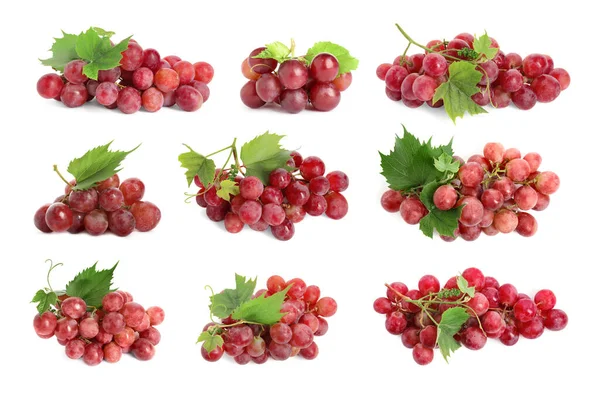 Zestaw Świeżych Dojrzałych Winogron Białym Tle — Zdjęcie stockowe