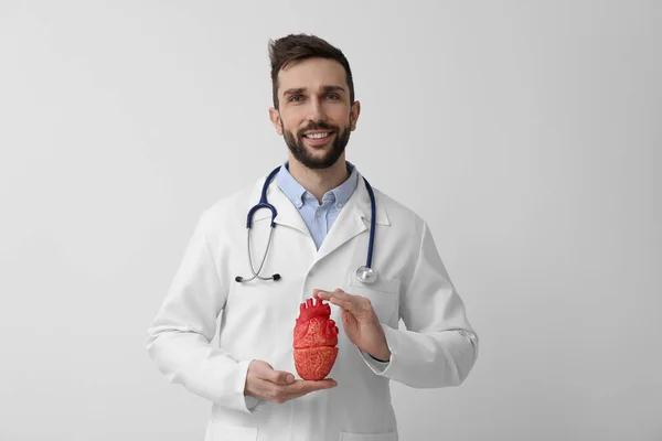 Steteskop Beyaz Arka Planda Kalp Modeli Olan Bir Doktor Kardiyoloji — Stok fotoğraf