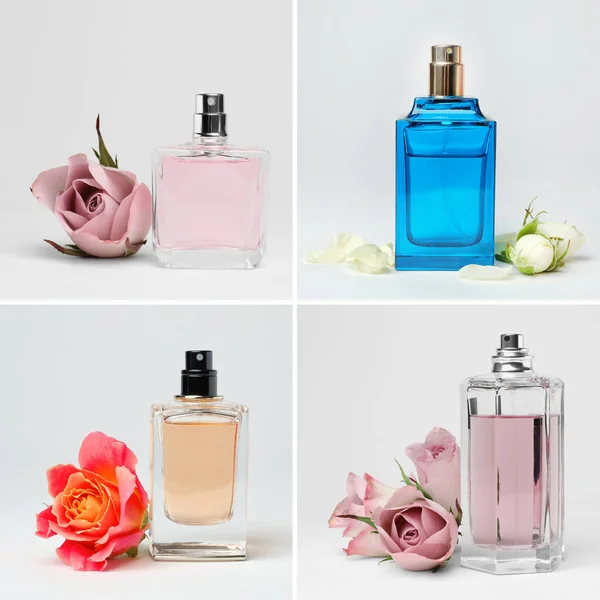 Set Different Bottles Perfume Flowers White Background — стоковое фото