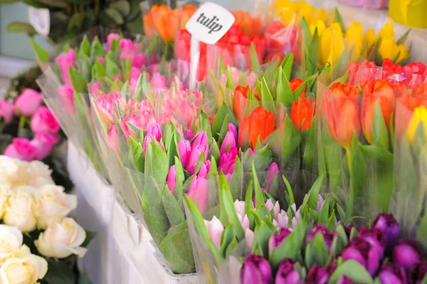 Assortment Beautiful Flowers Outdoor Store Sunny Day — Fotografia de Stock