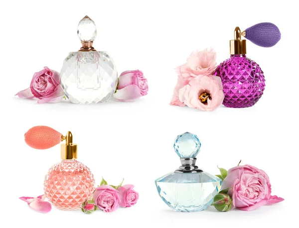 Set Different Bottles Perfume Flowers White Background — Foto Stock
