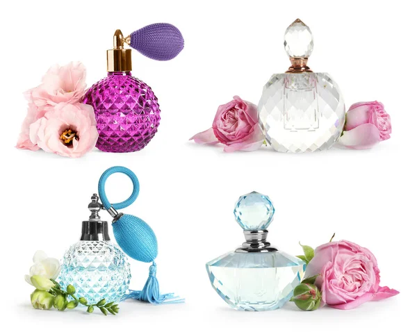 Conjunto Com Diferentes Garrafas Perfume Flores Sobre Fundo Branco — Fotografia de Stock