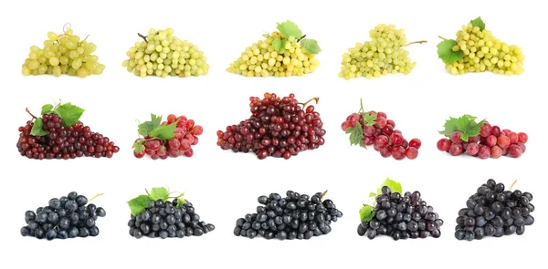 Set Different Fresh Ripe Grapes White Background — Fotografia de Stock