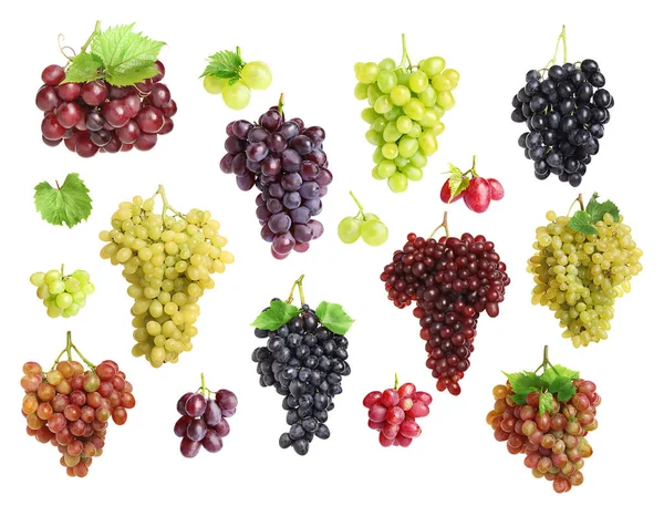 Set Different Fresh Ripe Grapes White Background — Stok fotoğraf