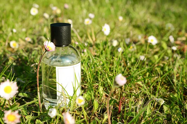 Bottle Perfume Green Grass Outdoors Sunny Day — Stockfoto