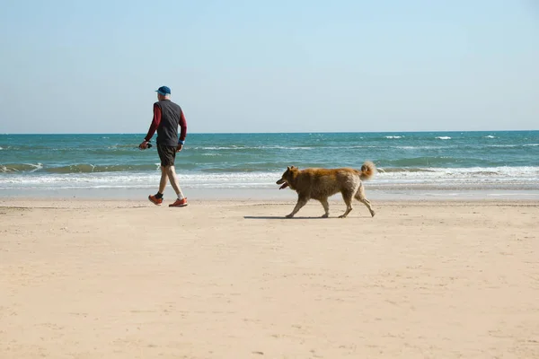 Man walking his dog on sea beach