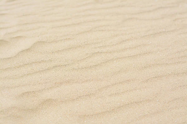 Sabbia Spiaggia Asciutta Con Motivo Ondulato Come Sfondo — Foto Stock