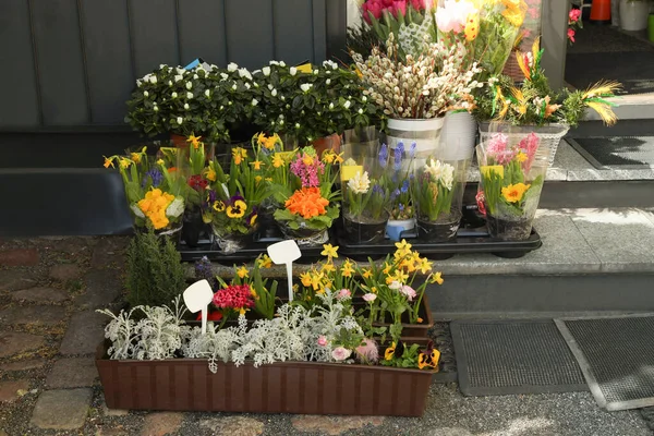 Many Different Beautiful Plants Outdoor Flower Shop —  Fotos de Stock