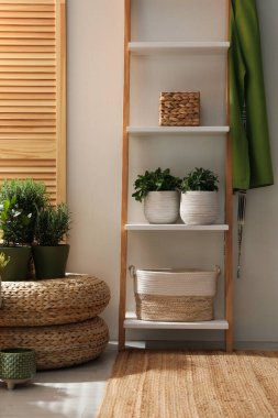 Odada farklı saksı bitkileri var. İç tasarım