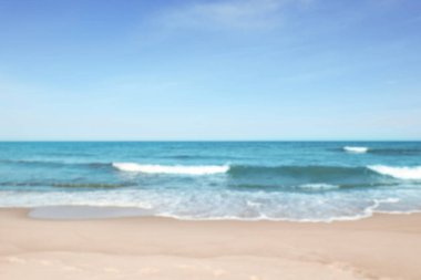 Güneşli bir günde bulanık deniz ve kumlu plaj manzarası