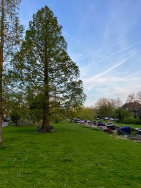 Yeşil çimlerin yanında farklı tekneleri olan güzel bir kanal manzarası.