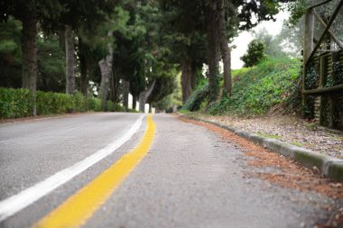 Şehrin yayalı asfalt yolu manzarası çok güzel.