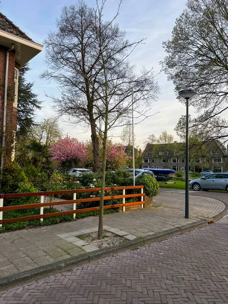 Blick Auf Schöne Straße Mit Häusern Und Geparkten Autos — Stockfoto