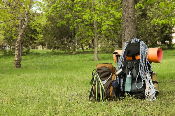 Backpacks Hiking Equipment Tree Green Grass Space Text — Stockfoto