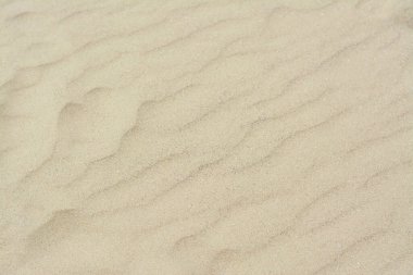 Arka plan olarak dalga desenli kuru kumsal kumu