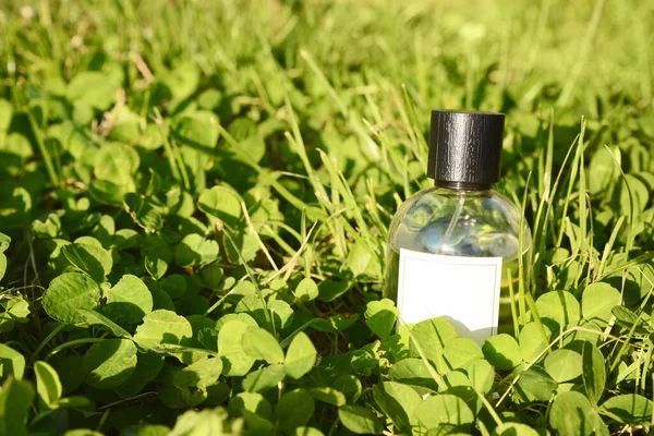 Bottle Perfume Green Grass Outdoors Sunny Day — Stockfoto
