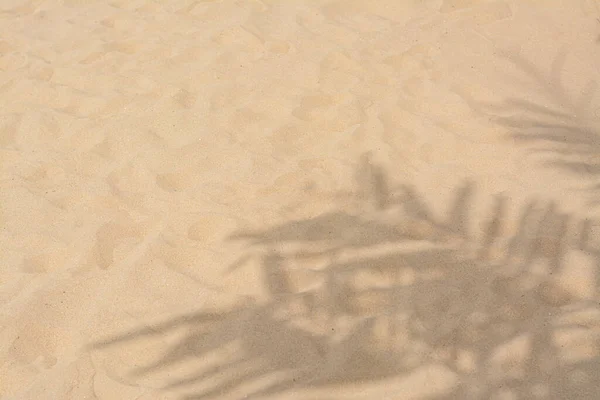 Schaduwen Van Tropische Takken Strand Zand Ruimte Voor Tekst — Stockfoto