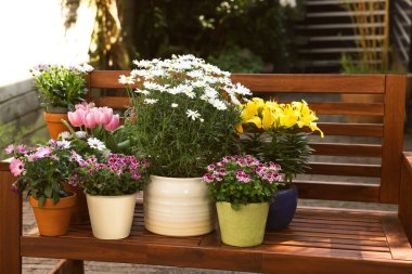 Bir sürü güzel çiçek açan bitkiler var. Ağaçtan bir bankta, açık havada.