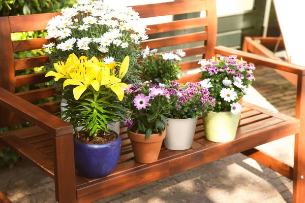 Bir sürü güzel çiçek açan bitkiler var. Ağaçtan bir bankta, açık havada.