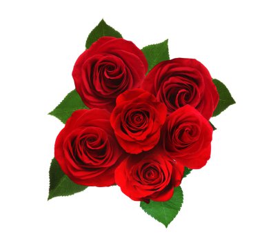 Beautiful bouquet with red roses on white background