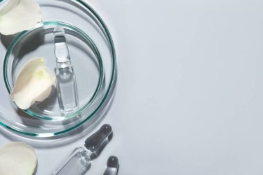 Hafif arka planda ilaç ve taç yaprakları olan ilaç ampulleri düz yatıyordu. Metin için boşluk