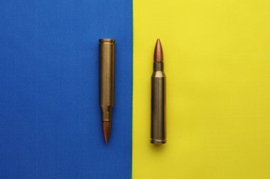 Ukrayna 'nın ulusal bayrağına iki kurşun.