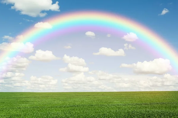 Picturesque View Green Meadow Beautiful Rainbow Blue Sky Sunny Day — Fotografia de Stock