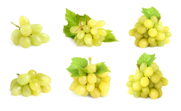 Set Fresh Ripe Grapes White Background — Zdjęcie stockowe