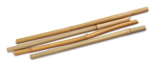 Beyaz Zemin Üzerinde Kuru Bambu Çubukları Üst Görünüm — Stok fotoğraf