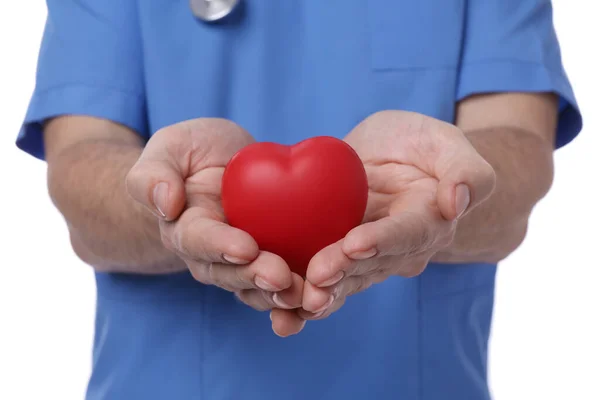 Doctor Holding Red Heart White Background Closeup Cardiology Concept — Stock Photo, Image