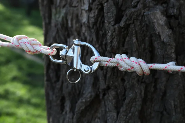 Climbing Ropes Carabiner Tree Outdoors Closeup — Stockfoto