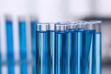 Reaktörlü test tüpleri bulanık arka planda, yakın plan. Laboratuvar analizi