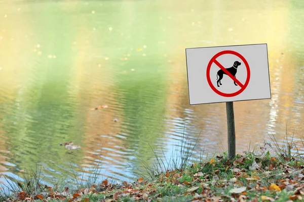 Sign Board Dogs Allowed Pond — Fotografia de Stock